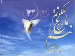 کرامات شهدا 2