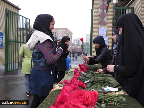 استقبال از دانشجویان با گل و شیرینی و چای در روز دانشجو 4