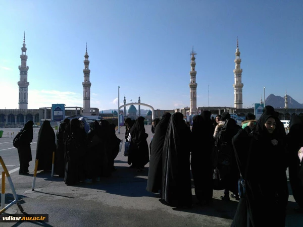 تجدید پیمان دانشجویان دانشکده با حضرت ولی عصر«عج» در جشن عصر آفتاب 3