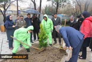 گرامیداشت هفته منابع طبیعی و روز درختکاری در دانشکده فنی و حرفه ای دختران تهران ولی عصر(عج) 2