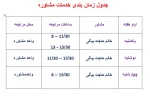 جدول زمان بندی خدمات مشاوره و پزشک 6