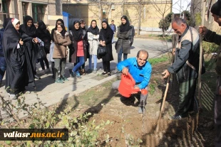 برگزاری مراسم درختکاری در دانشکده فنی و حرفه ای دختران ولی عصر (عج) با شعار"هر دانشجو یک درخت" 5