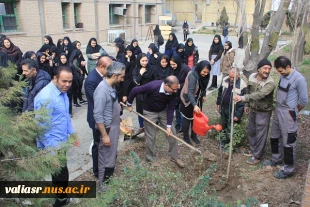 برگزاری مراسم درختکاری در دانشکده فنی و حرفه ای دختران ولی عصر (عج) با شعار"هر دانشجو یک درخت" 10