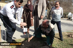 برگزاری آئین درختکاری در دانشکده فنی وحرفه ای دختران تهران ولی عصر(عج) 11