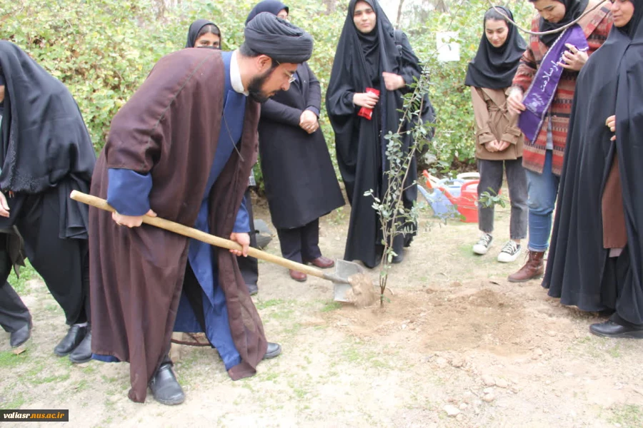 برگزاری آئین درختکاری در دانشکده فنی وحرفه ای دختران تهران ولی عصر(عج) 4