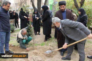 برگزاری آئین درختکاری در دانشکده فنی وحرفه ای دختران تهران ولی عصر(عج) 8