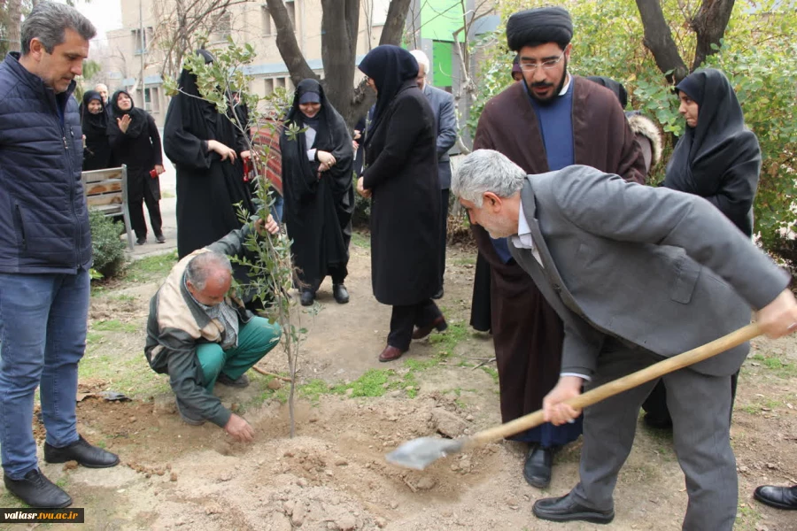 برگزاری آئین درختکاری در دانشکده فنی وحرفه ای دختران تهران ولی عصر(عج) 8