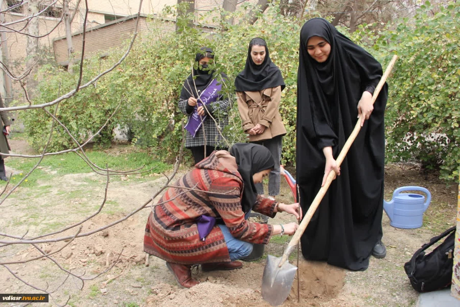 برگزاری آئین درختکاری در دانشکده فنی وحرفه ای دختران تهران ولی عصر(عج) 16